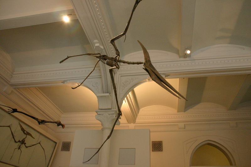 2009_New_York_21