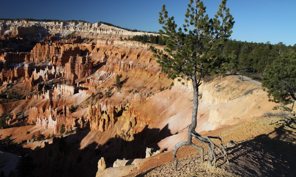 2010_usa_bryce_00