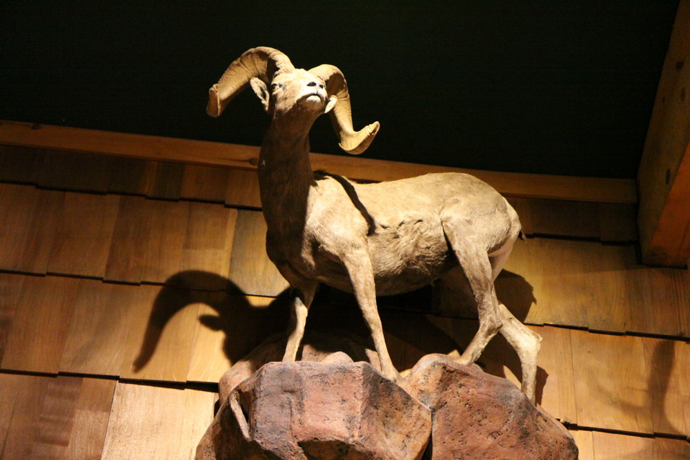 2010_usa_bryce_029