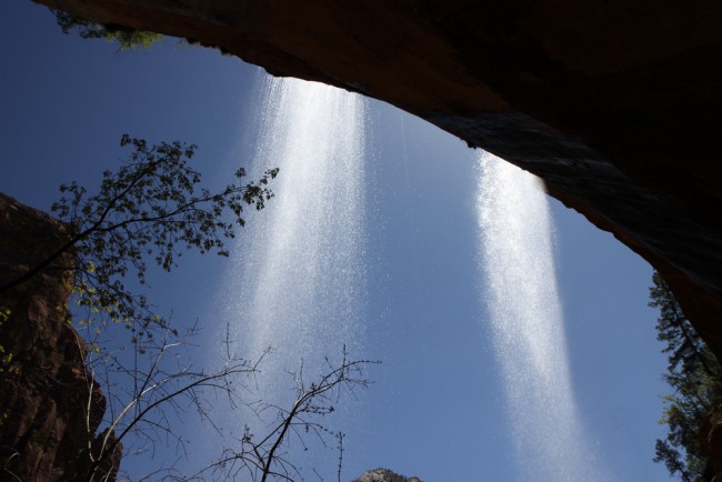 2010_usa_zion_078