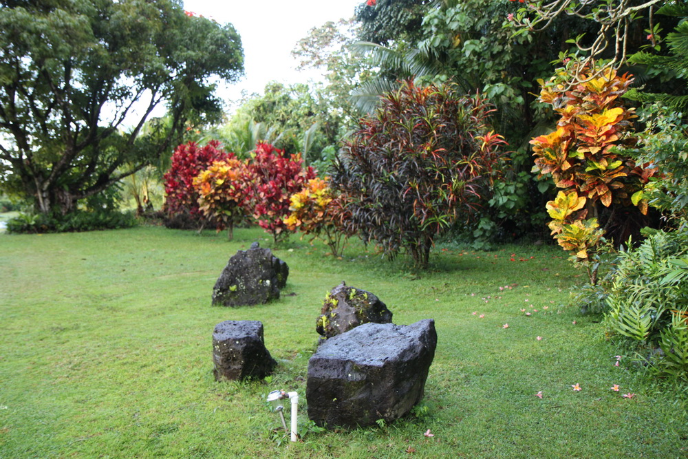 2014_Hawaii_BI_04