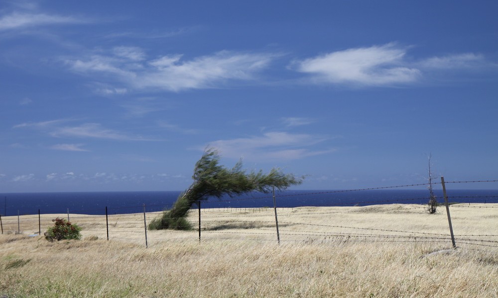 2014_Hawaii_BI_South_08