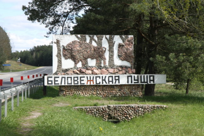 2017_Belrus_Pusha_01