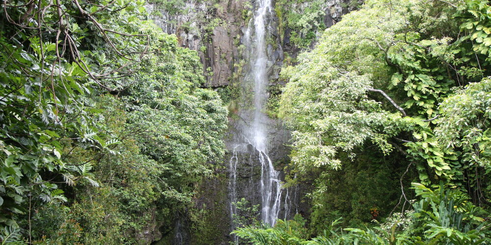 Hawaii_Maui_Hana__29 Hawaii Maui Hana road