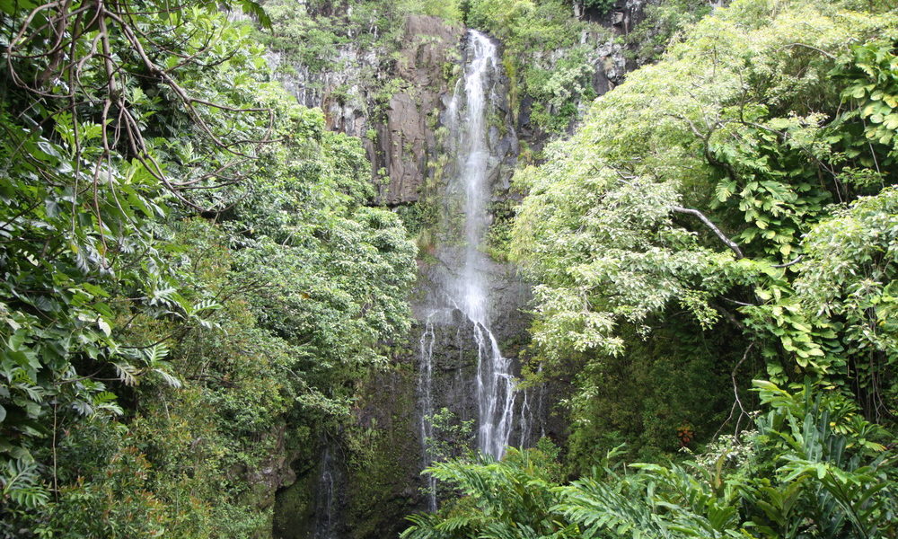 Hawaii_Maui_Hana__29 Hawaii Maui Hana road