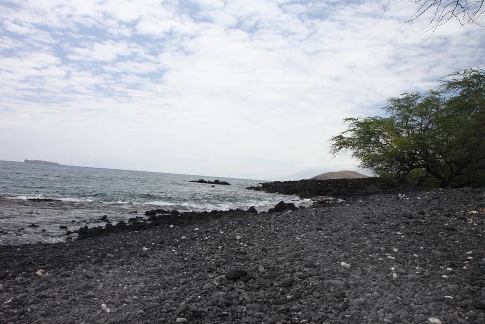 Hawaii Maui beach